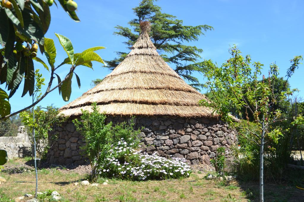 B&B Antica Botte Sassari Exterior foto